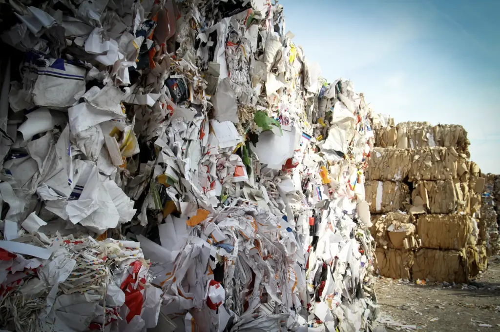 how to recycle packaging sustainable environmental design efforts