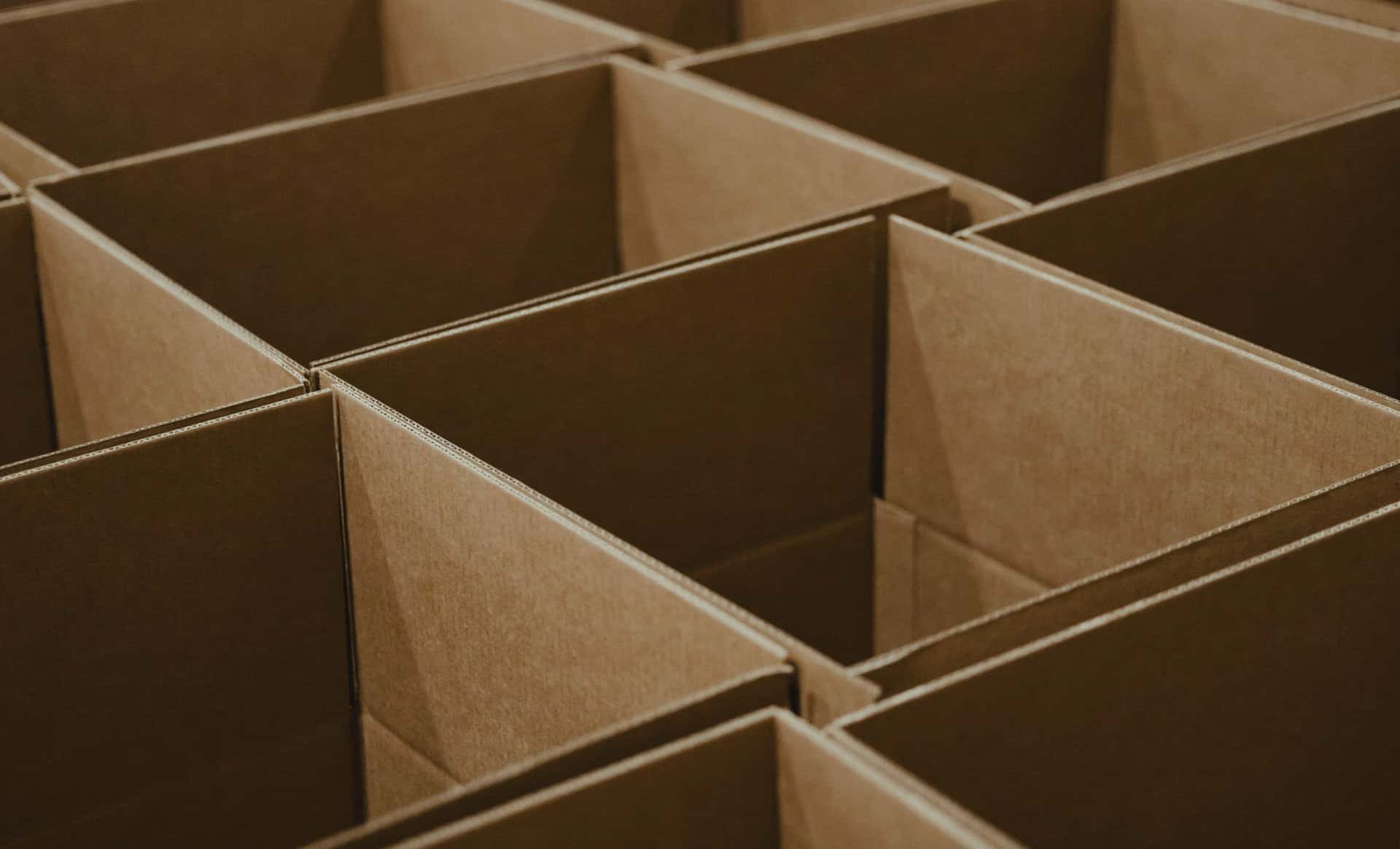 Cardboard Design for Absence sustainable material DFA