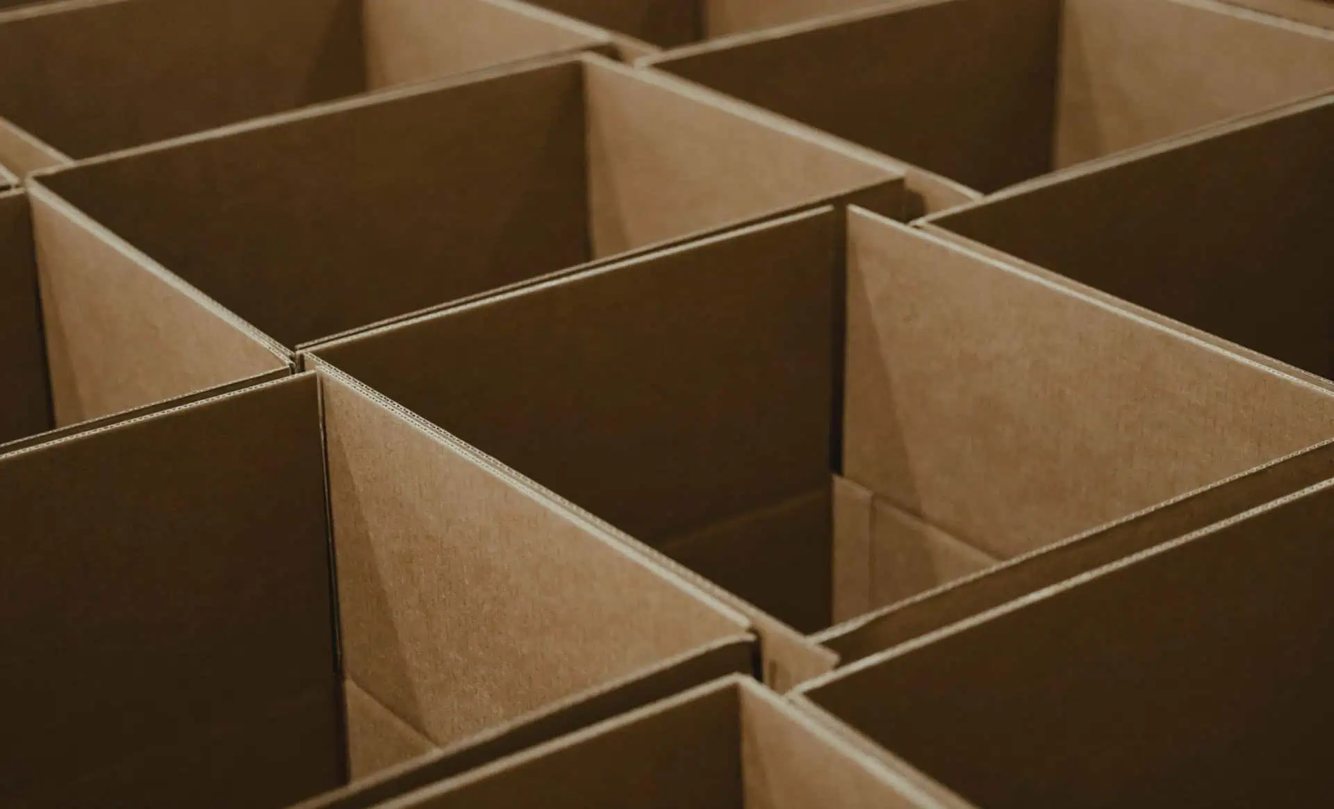 Cardboard Design for Absence sustainable material DFA