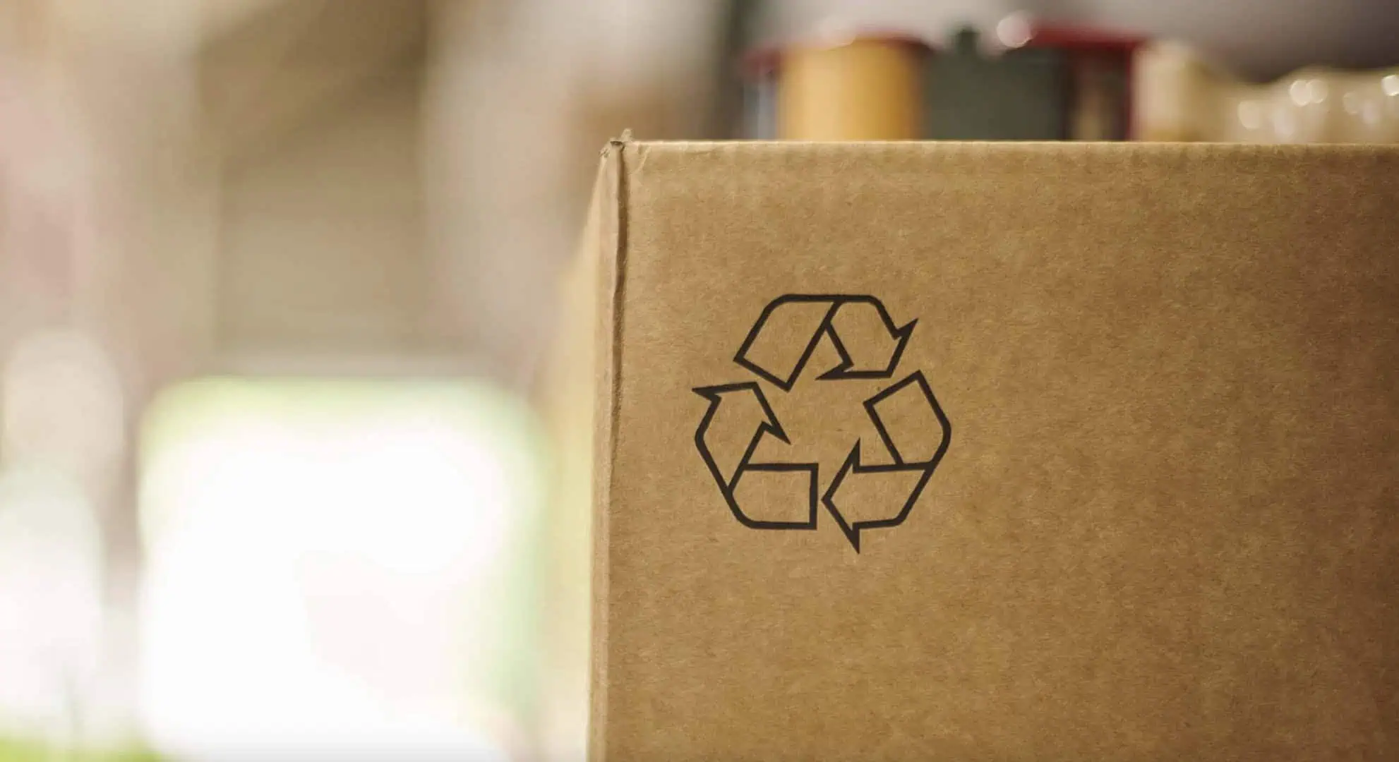 recycled packaging luxury brands Design for Absence sustainable material DFA