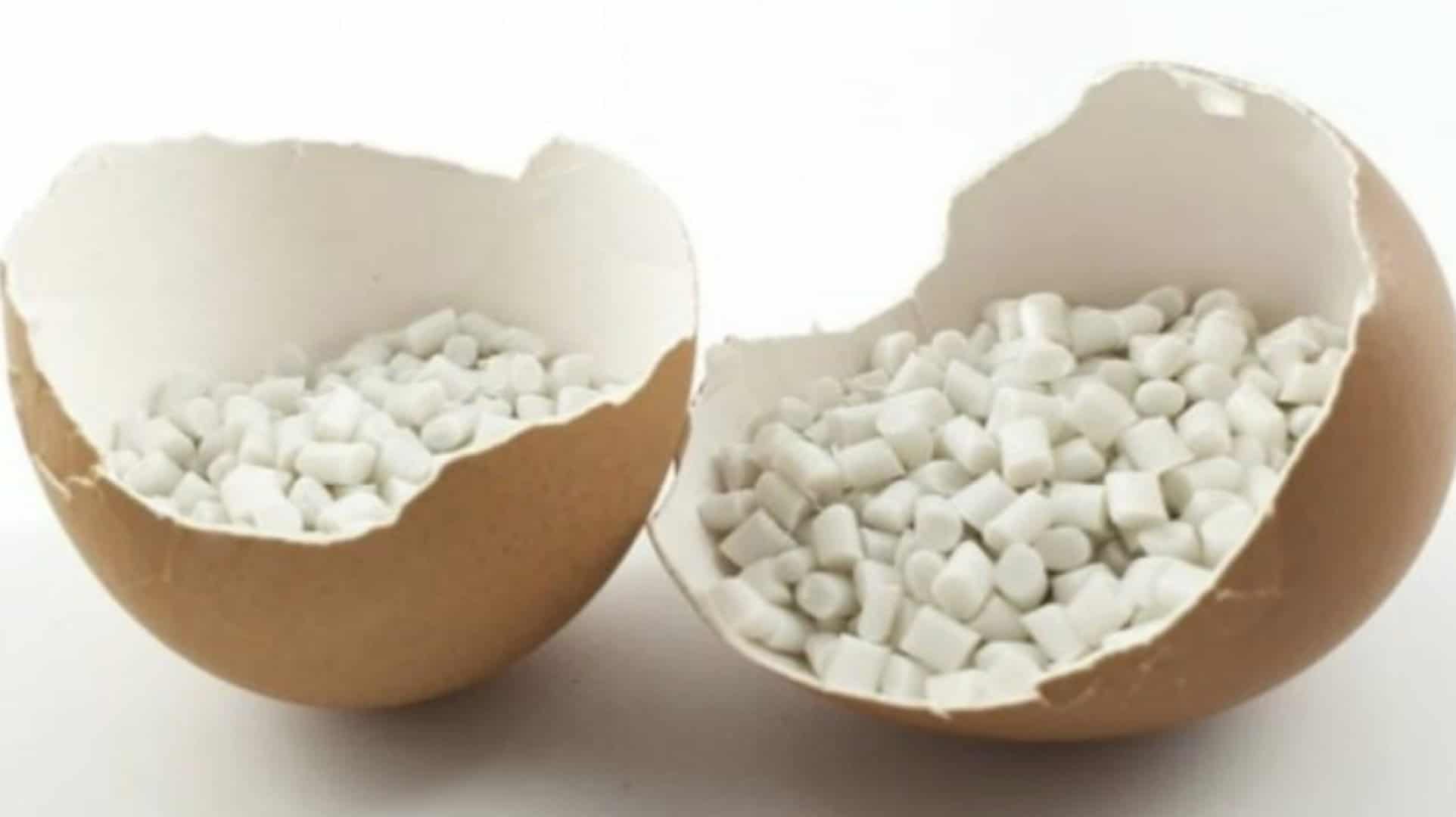 2025 Luxe Pack New York Ecoshell recycled egg shells